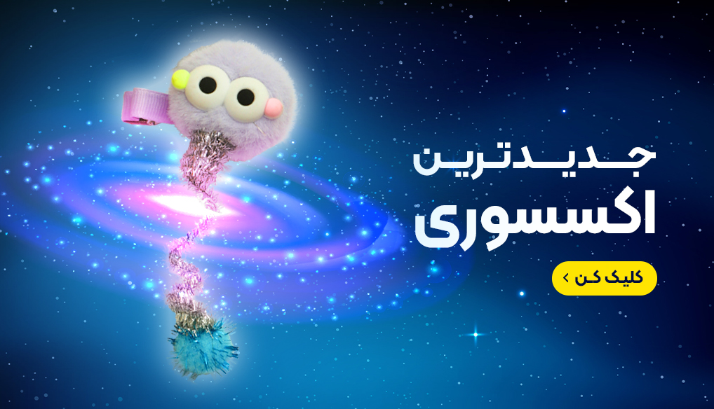 اکسسوری