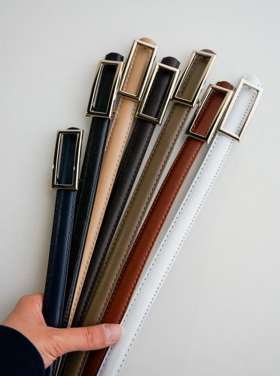 کمربند دلاریس