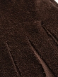 شال پرستو 15