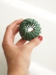کلیپس گوجه ای شمعی 1