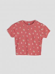 کراپ کبریتی الوا 29 | هیبا